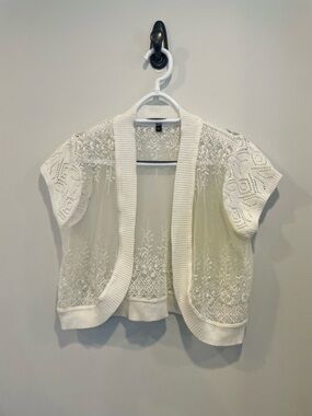 Delicate Sheer Embroidered Open Cardigan in Ivory
